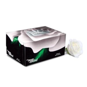 Rose Petal Pop Up Ultasoft Facial Tissues - 300S