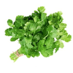 Green coriander ( ہرا دھنیا )